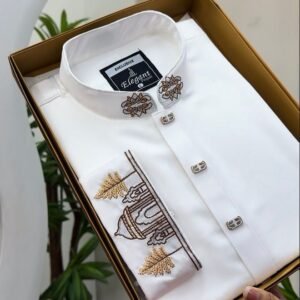 Pakistani fancy cotton (Luxary) BP903